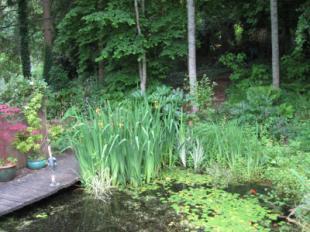Wildlife Garden 3