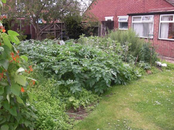Rear garden