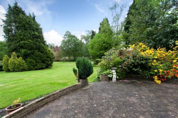 Patio & Gardens
