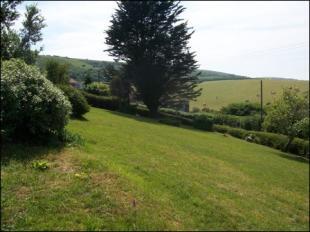 View of garden