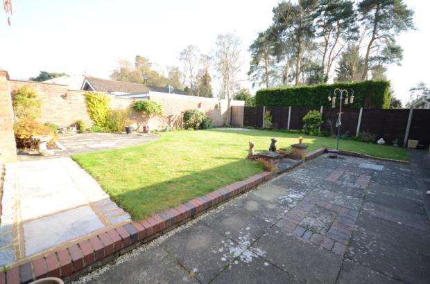 Garden 2