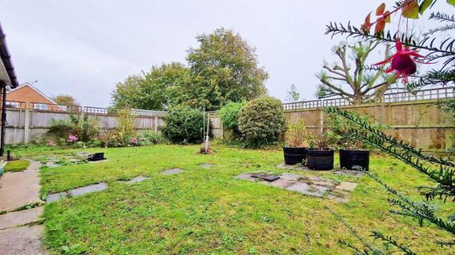 Outside - Rear