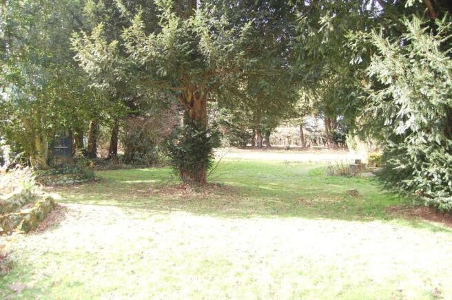 woodland