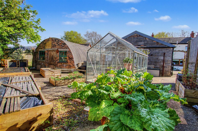 Back Gardens