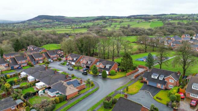 DJI_0099.00_50_30_24.Still008.jpg