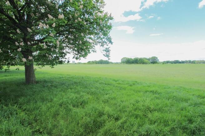 Wanstead Flats