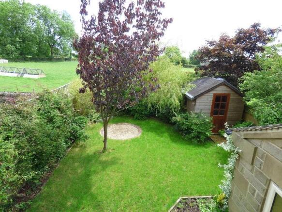 Photo 11