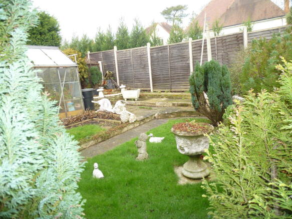 Photo 5