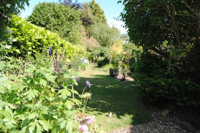 garden