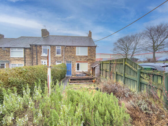 IMG 0820 T202601251659.jpg