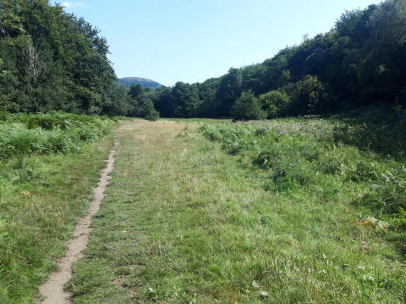 country park photo.jpg