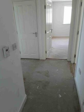 Picture1