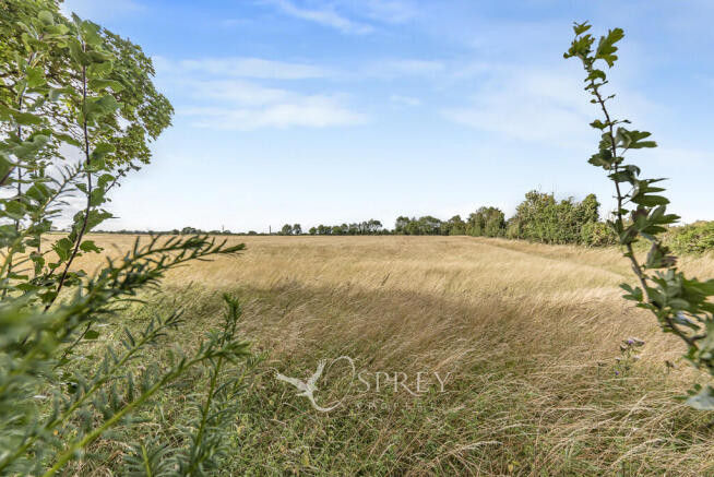 Countryside Views...