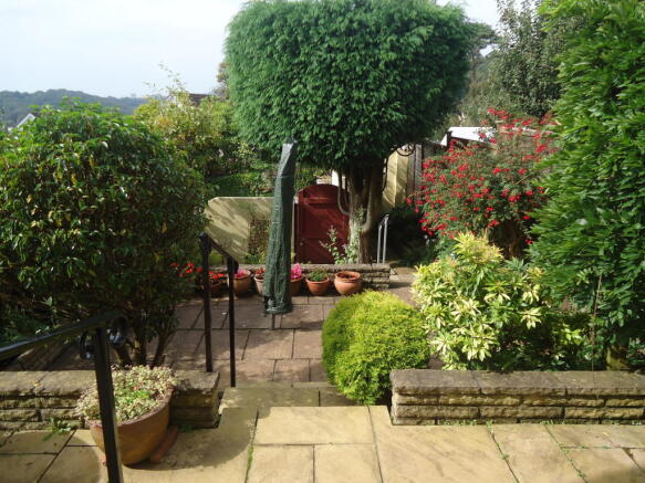 Photo 10