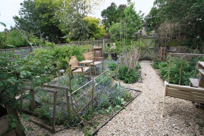 Vegetable Garden