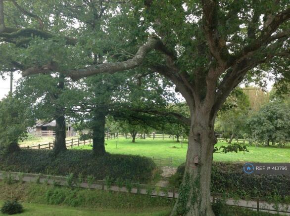 Orchard View