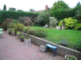 Rear Garden 6
