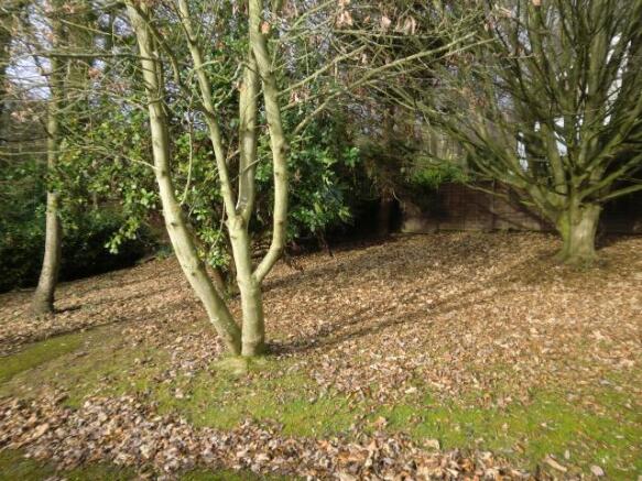 Woodland Gardens