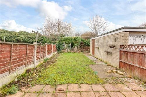 Back Garden
