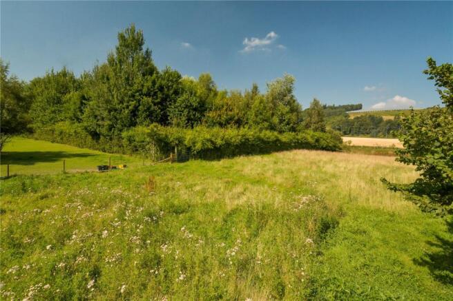 Field