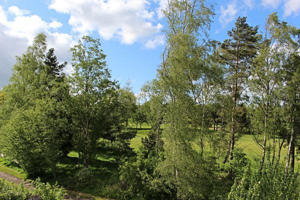 View from Property at Back