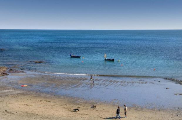 Local Beach