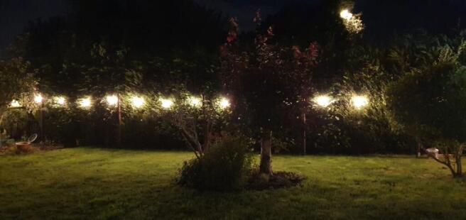 Photo 39