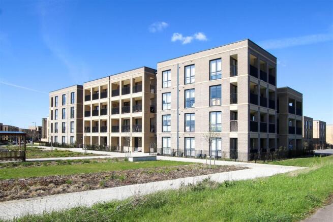 IMG_2167.JPG