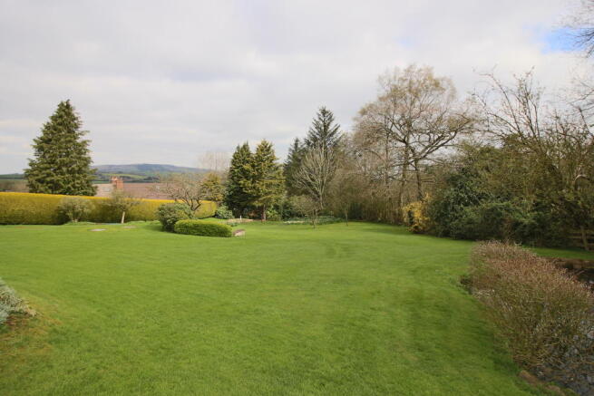 Lawn.