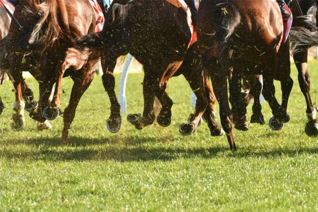 Goodwood Racing