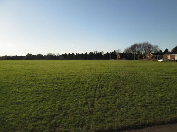 Local fields