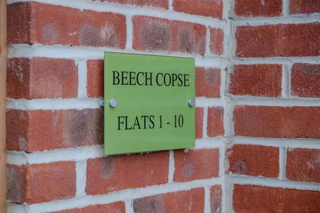 Beech Copse