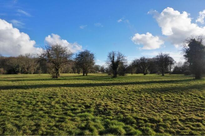 Surrounding Area