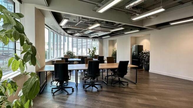 Uncommon LS Unit 313.jpeg