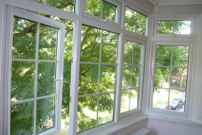 Window