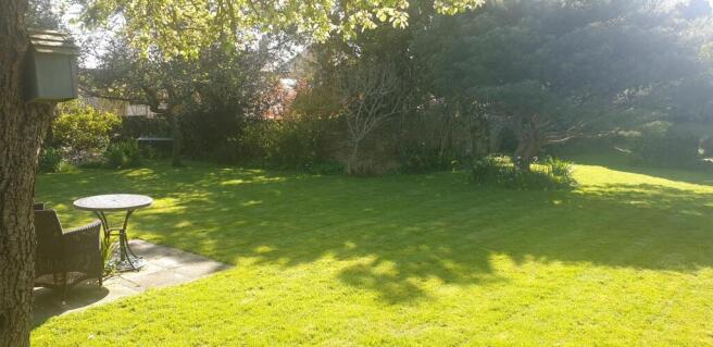 Garden (10)
