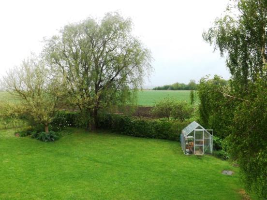 Garden/View