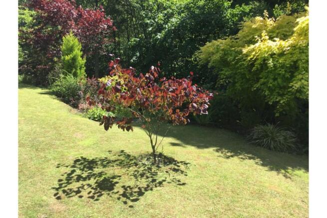 Landscaped  Gardens