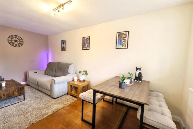 IMG_7096