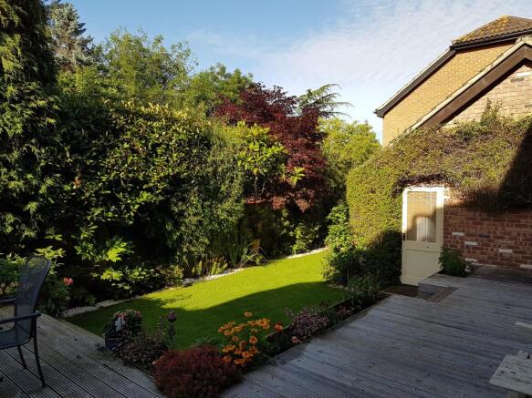 Rear Garden 2