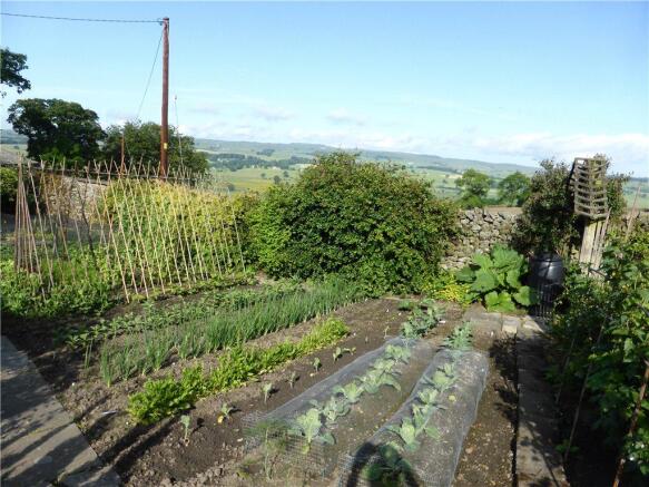 Veg Patch