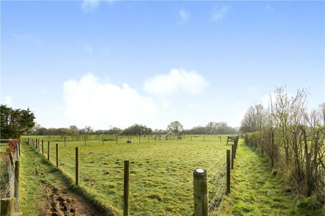 Field