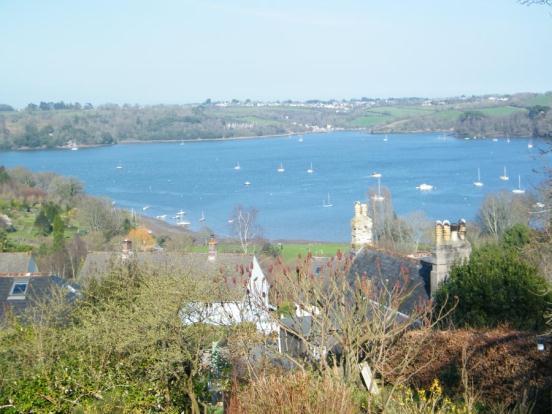 Dart View