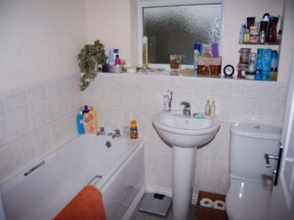 Photo 10