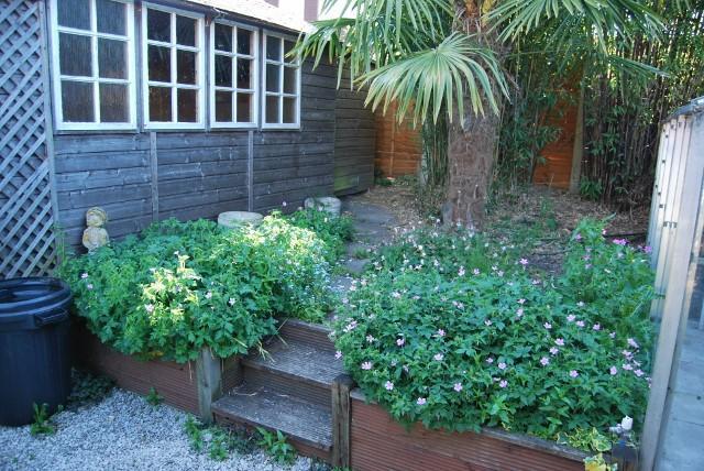 Upper Garden