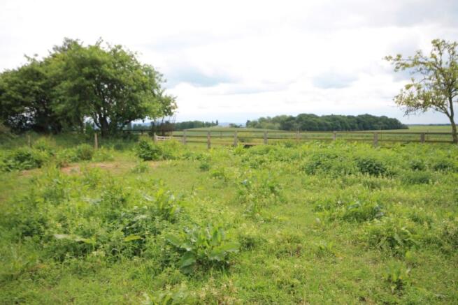 ORCHARD