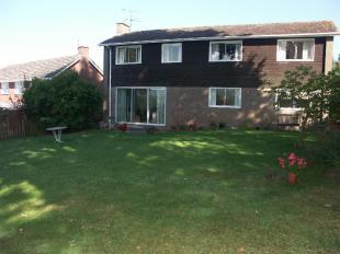 Property Rear