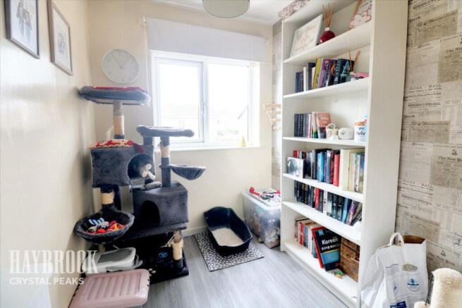 Photo 15