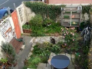 Photo 7