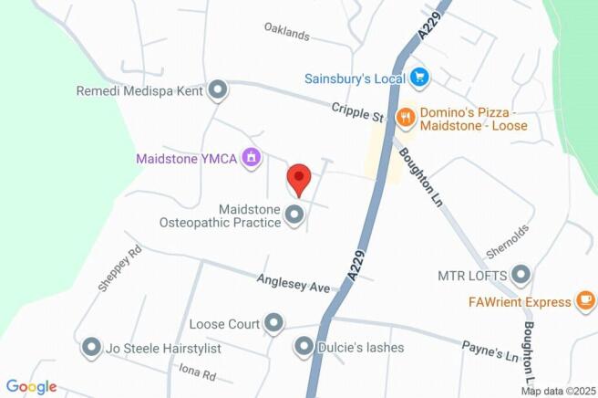 Google Maps Image